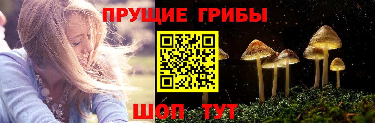 Галлюциногенные грибы Psilocybine cubensis  купить   Псилоцибиновые грибы MAGIC MUSHROOMS  Муравленко  Вход с VPN 