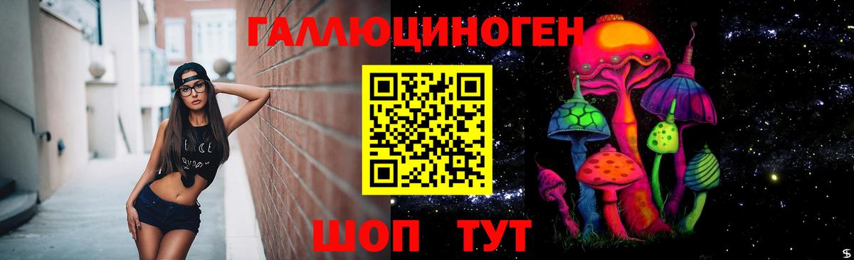 Галлюциногенные грибы Psilocybine cubensis Муравленко